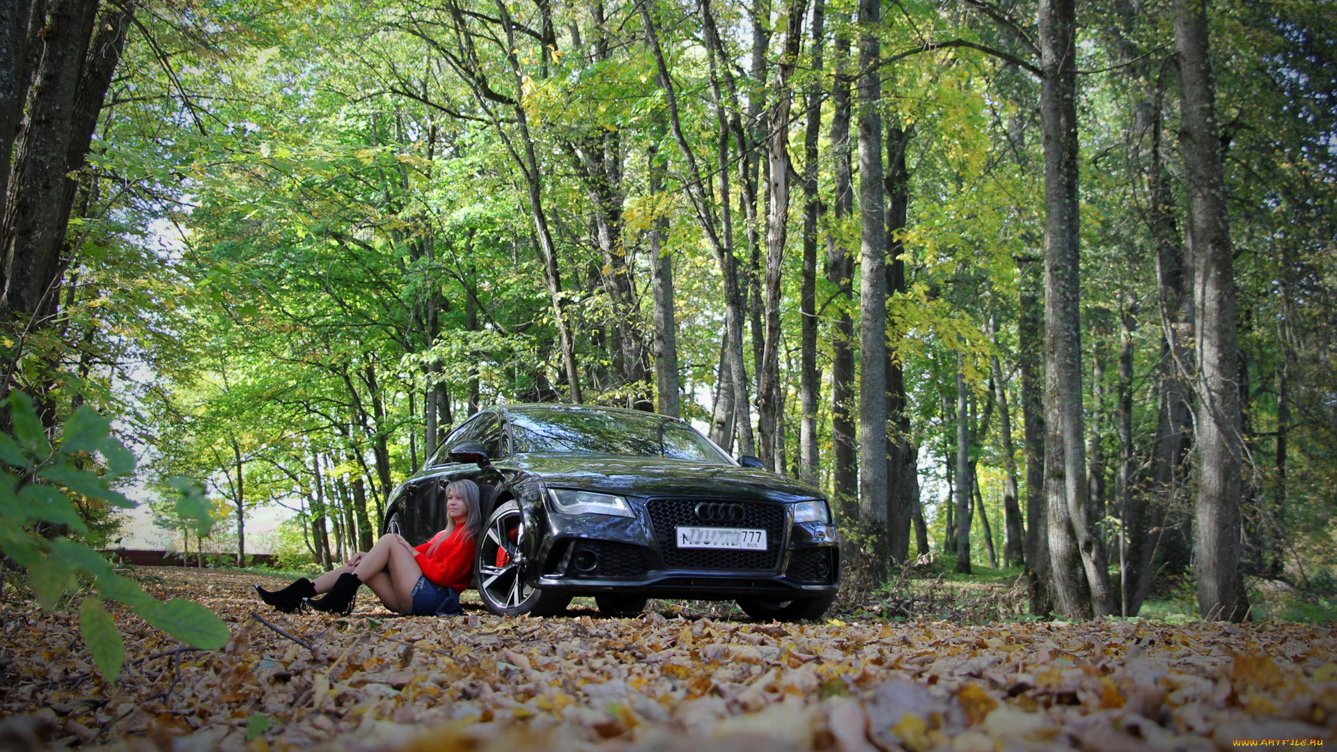 , -  , , , audi